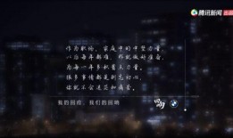 最新回响爆料新闻内容,揭秘回响新闻背后的惊人真相