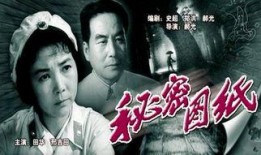 电影秘密图纸在线观看,揭秘二战风云中的神秘使命