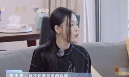 外网爆料张珊珊事件视频,揭秘背后惊人真相