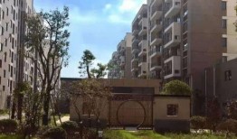 西安双竹村最新爆料电话,电话揭露惊人内幕